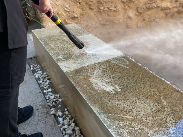 Best Affordable Pressure Washing  in Riverton, IL