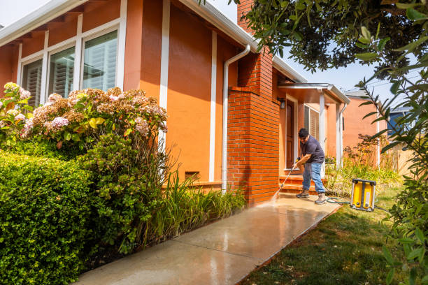 Roof Power Washing Services in Riverton, IL